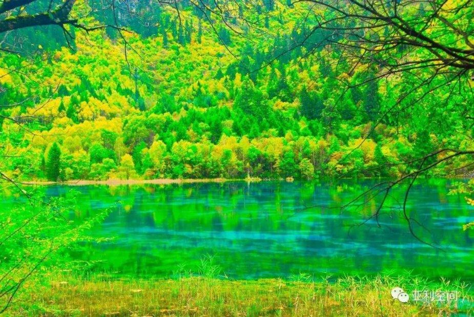 了解为什么我的社保里没有生育险和医疗保险?最新动态-为什么我的社保里没有生育险和医疗保险?红迪网平台