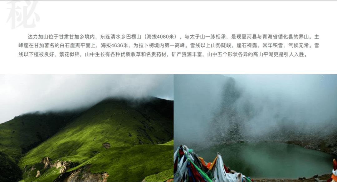 动物帮帮忙保卫家园
